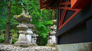 23090-japan-nikko-Toshogu-Shrine-smhoz.jpg
