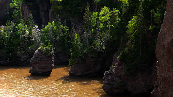 3788-hopewell-rocks-c.jpg
