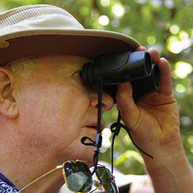 Costa Rica Birding Tours