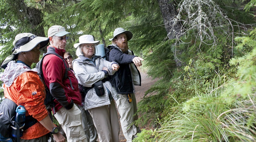 Hikers pointing at plants off the trail on a hike