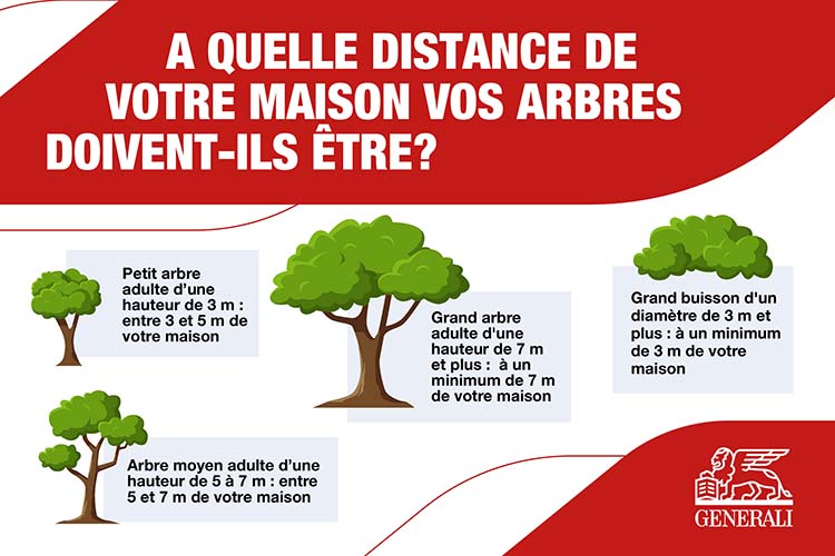 A quelle distance de votre maison vos arbres doivent-ils être.jpg