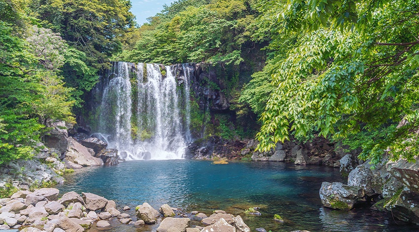 A picturesque waterfall surrounded by lush greenery and a pool of blue water