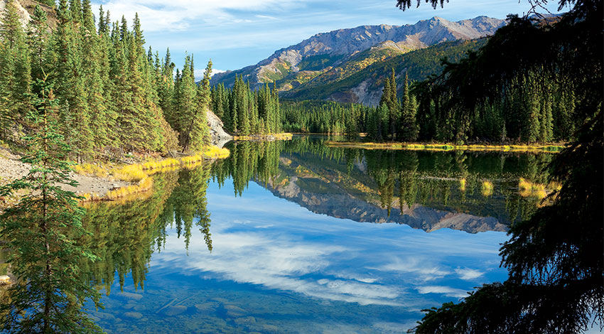 Denali National Park