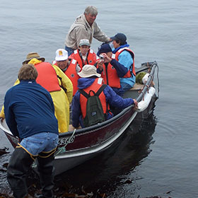 Birding Tours in Grand Manan Island