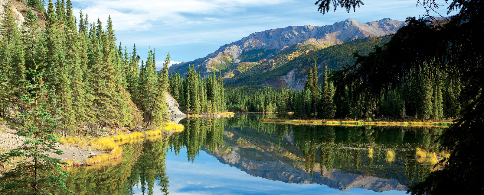 Denali National Park, Alaska