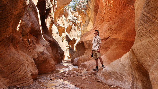 Zion National Park