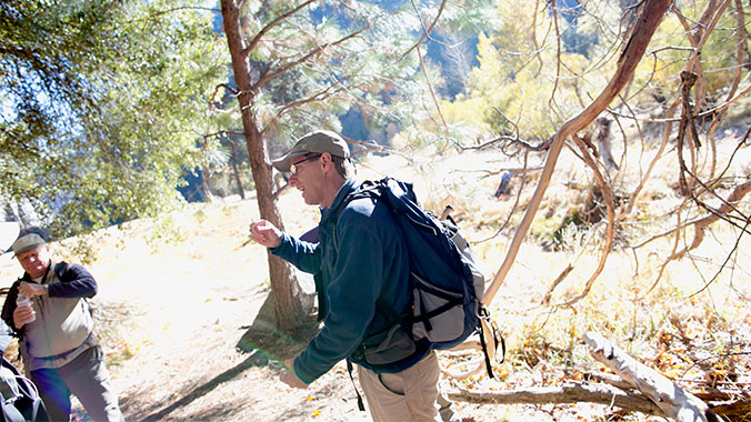 13977-yosemite-national-park3-c.jpg