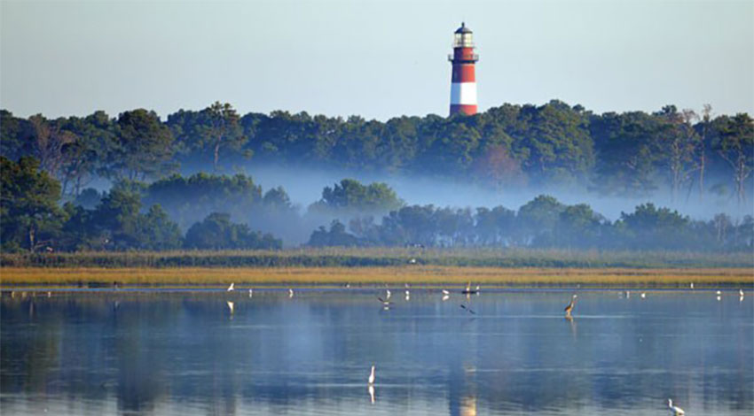 chincoteague island