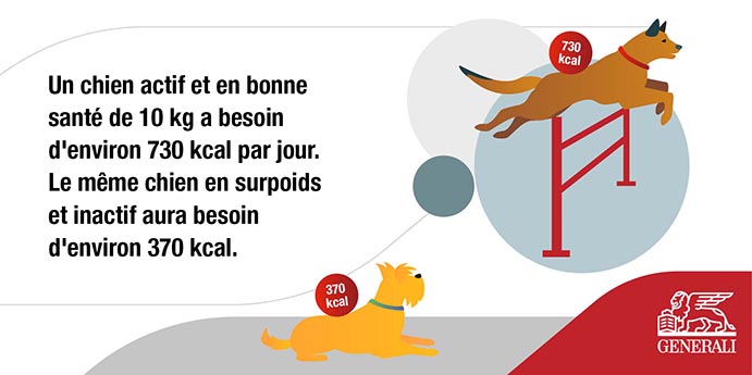 Zz1kODgxZGFkMDViODcxMWVkODQzMTcyMmVjYzBmNjYyZA== (1).jpg