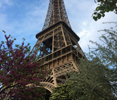 Things to Do In France - Eiffel Tower