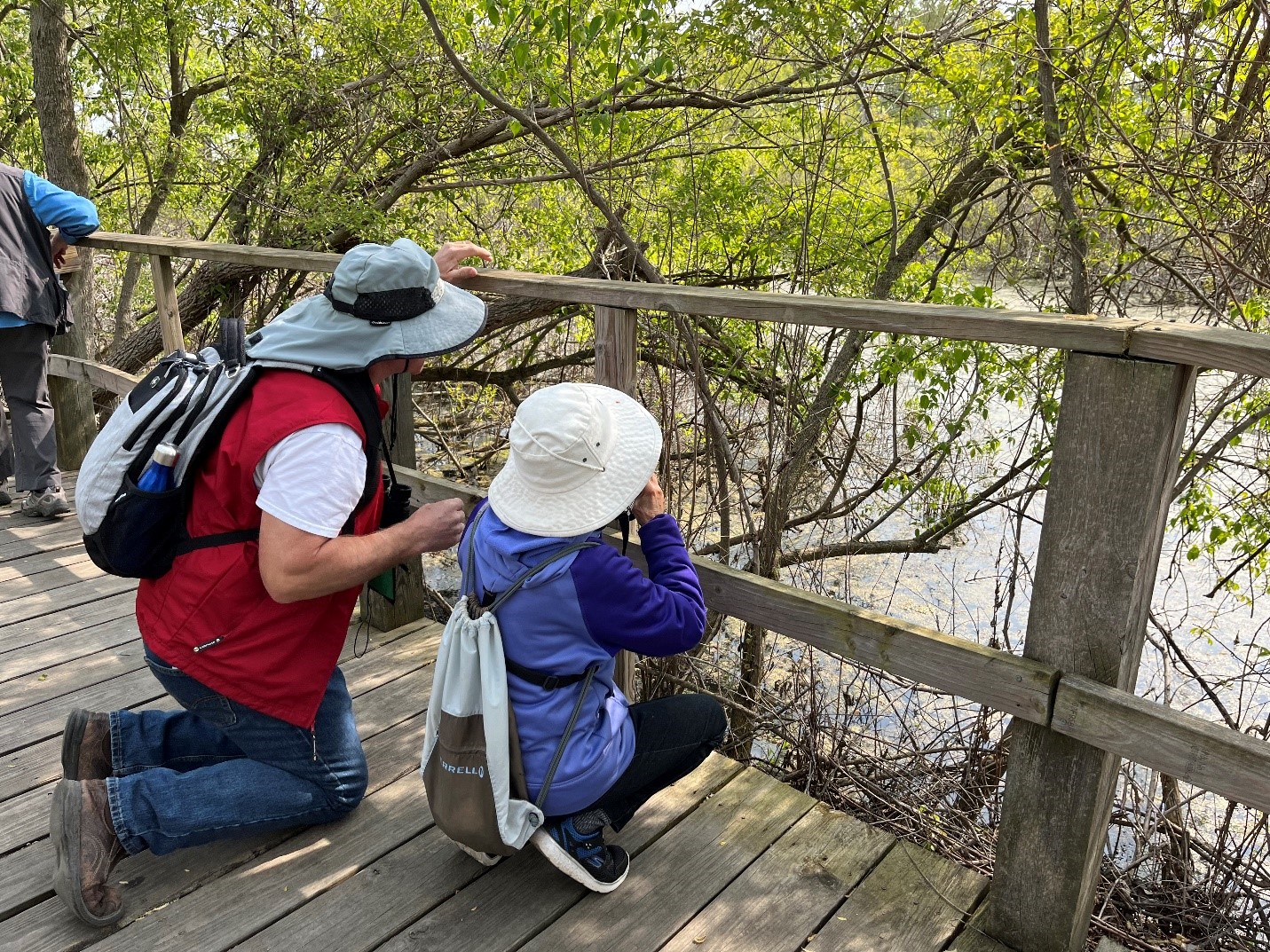 Two Road Scholar participants search for birds with binoculars 