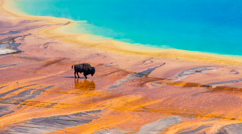 Yellowstone National Park