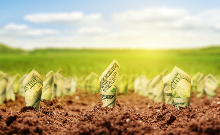 CFOs Want FP&A to Marshal Value Creation