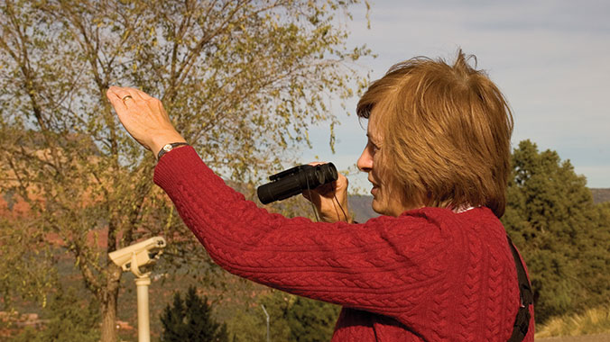 Birding Tours in SIerra Vista
