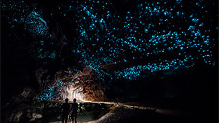 22753-new-zealand-waitomo-glowworm-caves-smhoz.jpg