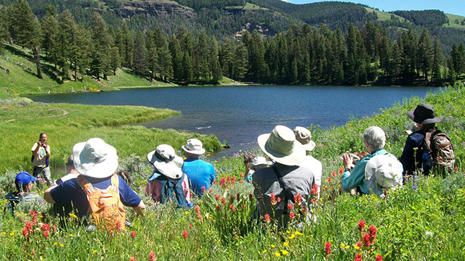 4874-greater-yellowstone-lghoz.jpg
