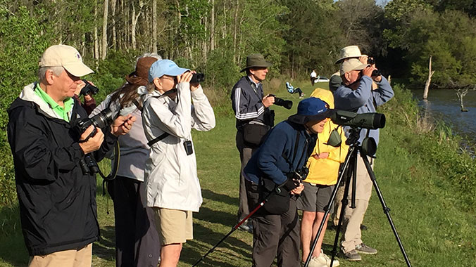 Birding Tours in the U.S.