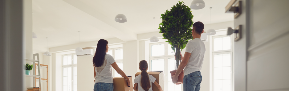 useljavanje u nov stan