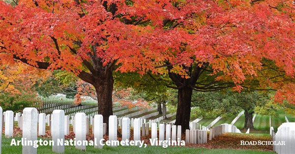 Cemetary
