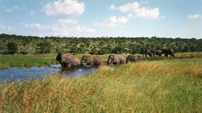 22269-namibia-elephants-lghoz.jpg