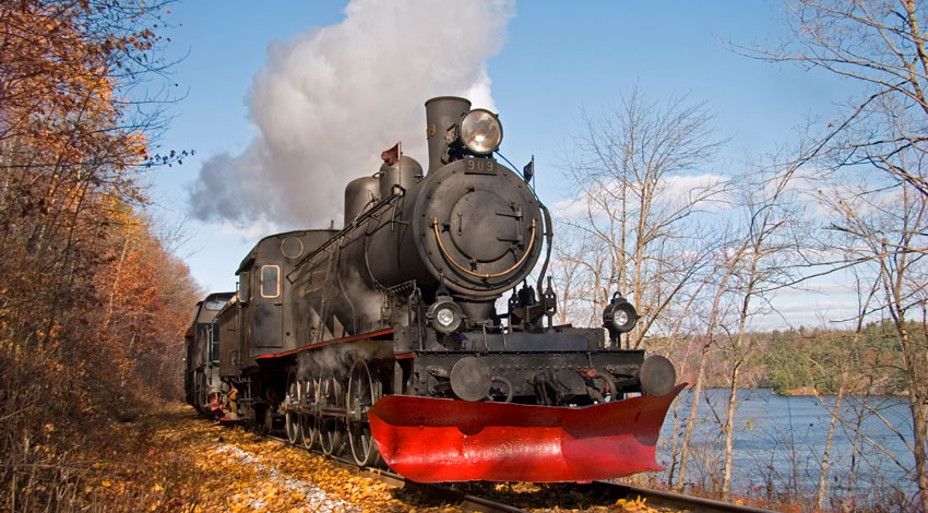 train