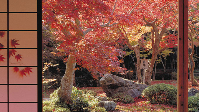 19725-Cultural-Highlights-Japan-Kyoto-Enkoji-Temple-lghoz.jpg