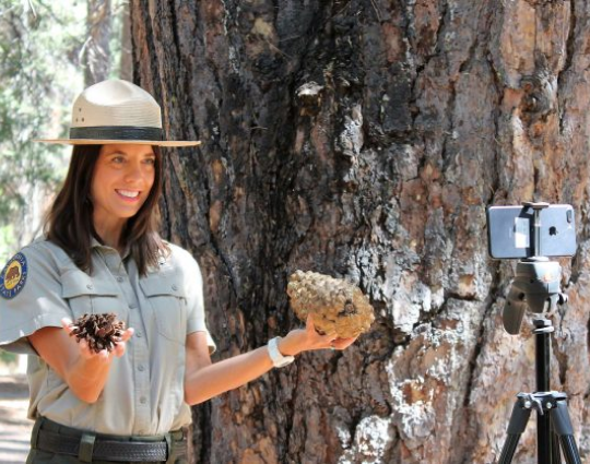 Park ranger