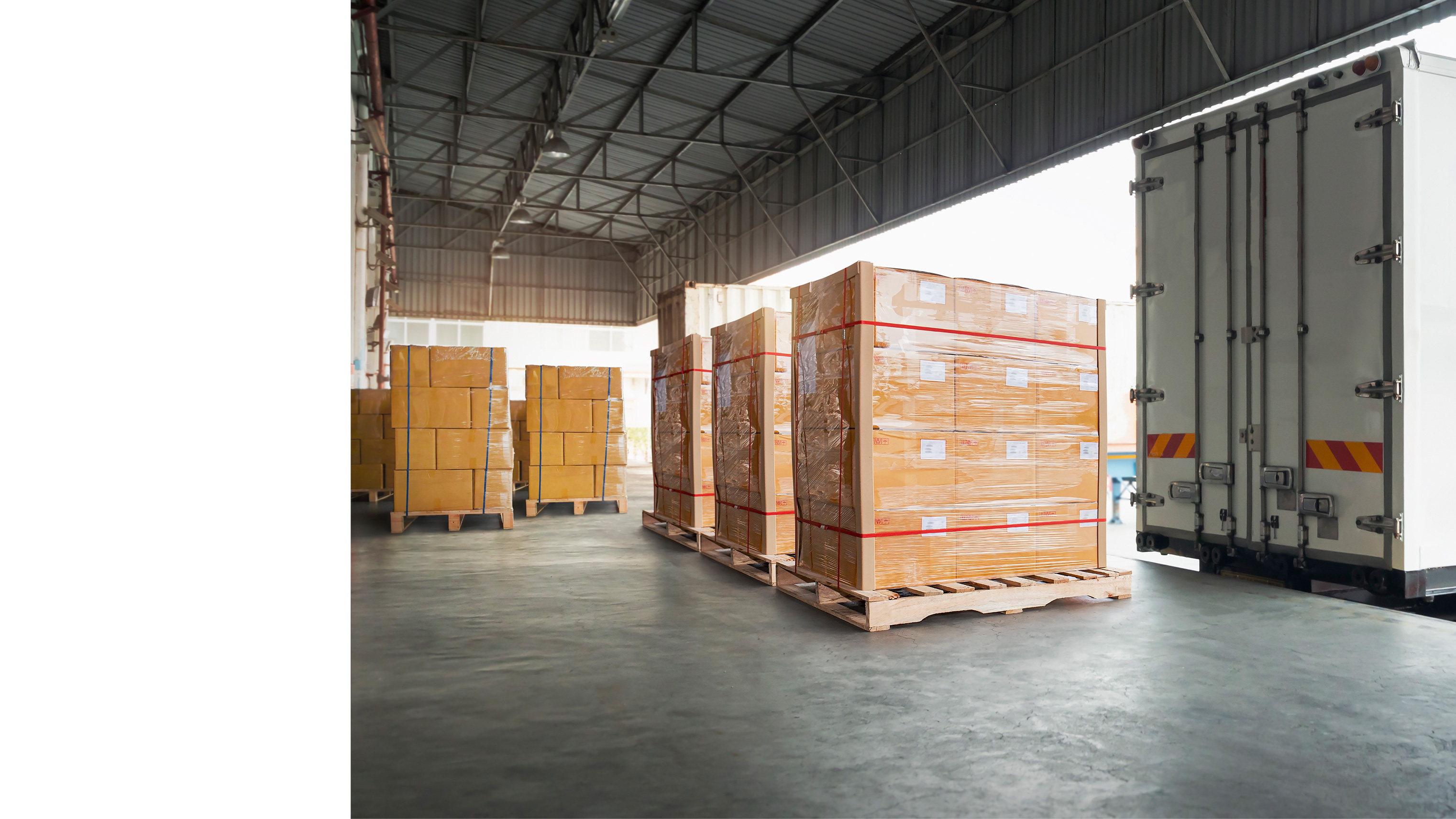 masthead_dtp_wholesale.jpg